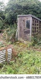 An Old Shed On A Disused Overgrown Allotment 