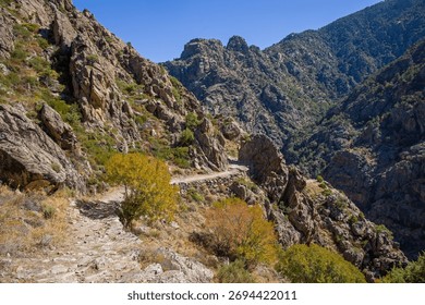the old shepherds' paths on the Scala di Santa Regina hiking trail near Corscia in central Corsica in the sunlight