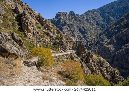 the old shepherds' paths on the Scala di Santa Regina hiking trail near Corscia in central Corsica in the sunlight