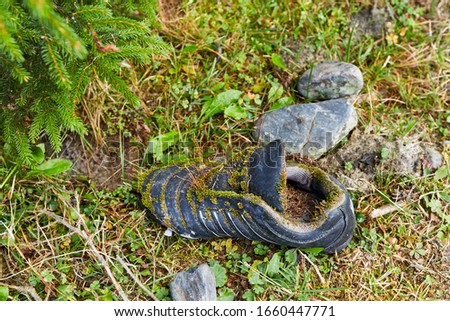 old shoe in the grass in mountain