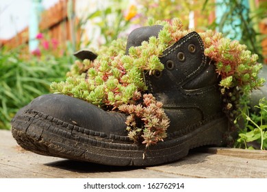 412 Shoes Planters Images, Stock Photos & Vectors | Shutterstock