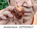 old shriveled apple with age spots, a symbol of illness, age, wrinkles and decay.Health concept.