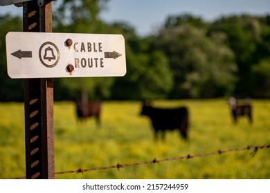 An old sign in front of a cattle pasture