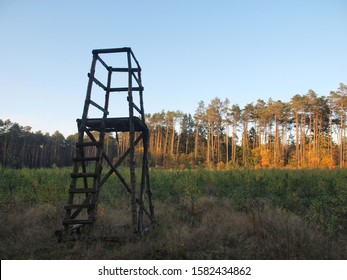 Old Simple Hunting Pulpit. Tree Stand, Deer Stand In The Woods.