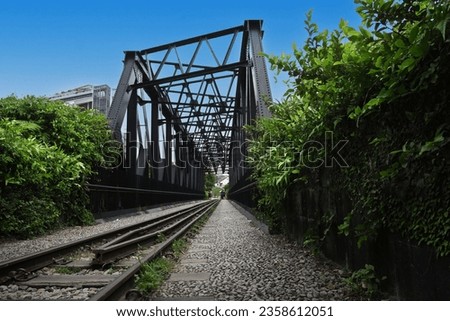 The old Singapore-Malaysian railway tracks at the 24 km long Rail Corridor along Bukit Timah Road. It is a continuous green passage that allows wildlife movement between major green spaces. 