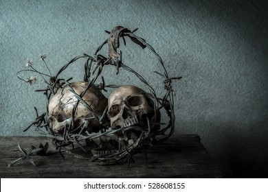 Old Skull With Metal Spike In Dark Tone, Still Life Photography Concept