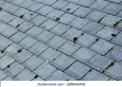 Old Slate Roof Tiles With Moss And Lichen, Roofing Background, UK 