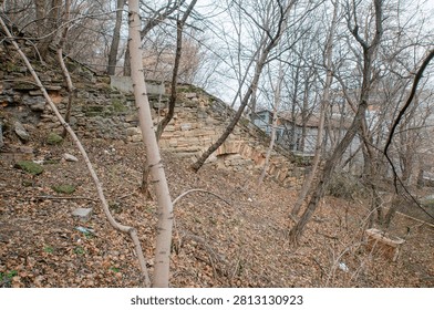 Old slopes, trees, an old shell rock wall, an old abandoned park