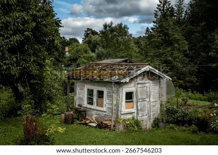 Old small rustic house surrounded by trees. The weathered wooden building with a worn appearance creates a nostalgic countryside atmosphere in nature.