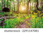 Old smoke stack ruins along a trail lined with wildflowers in the morning in Athens, Georgia, USA.