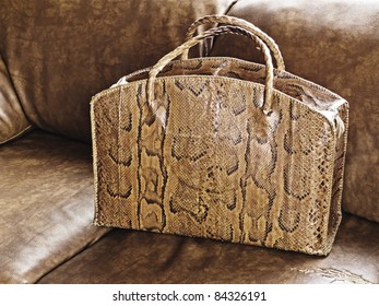 Old Snakeskin Leather Bag From Congo On Couch