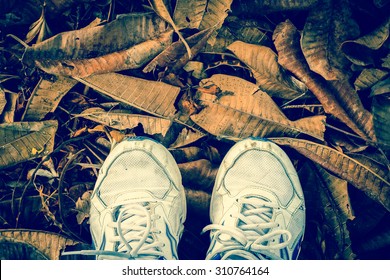 Old Sneakers  On A Pile Of Dry Leaves 