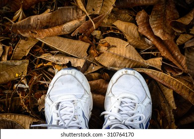 Old Sneakers  On A Pile Of Dry Leaves 