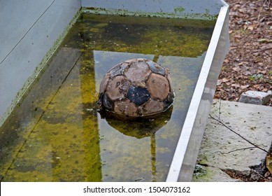 Old Soccer Ball In Water. Abstract Photo.