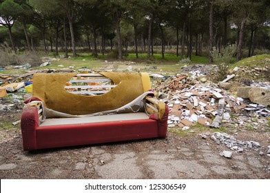 Old Sofa In A Dirty Forest