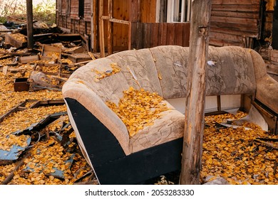 an old sofa on the street near a burnt-out house. there are yellow foliage on the sofa seat.