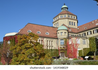 Old solid building in trees