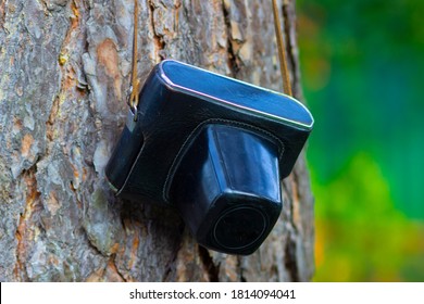 Old Soviet retro camera in a case on a tree