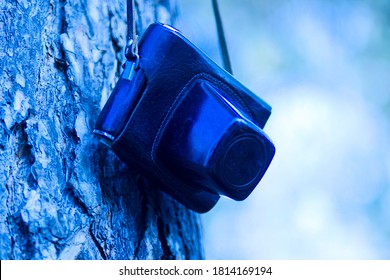 Old Soviet retro camera in a case on a tree