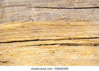 Old Split Wood