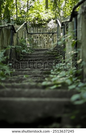 Similar – stairs with moss in the middle of a dark forest