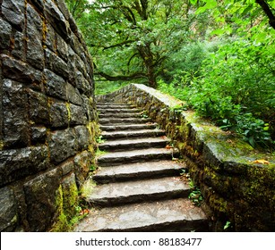 Old Stairs In Forest