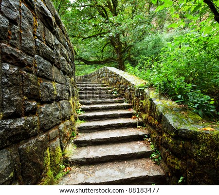 old stairs in forest