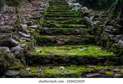 old stairs in forest. moss coverd with stone steps in forest india - Shutterstock ID 2204252029
