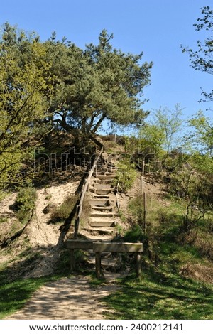 old stairs in the walking route to the highest point of the Mookerheide
