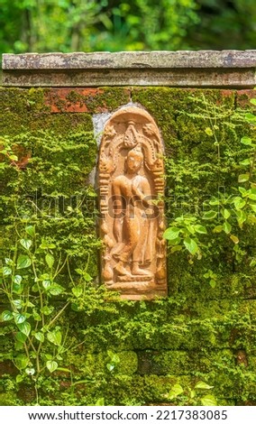 An old Standing Buddha sculpture engraved on the sand stone on a wall covered with a blur view of the mexican daisy plant