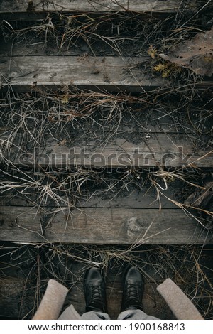 Similar – Foto Bild Weibliche Hände halten Feuerholz für das Lagerfeuer über dem Kohlenhintergrund.