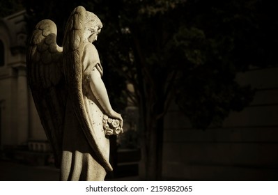 Old Statue Of Angel In Cemetery With Sunlight And Shadow