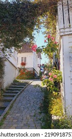 Old Stavanger Norway In Summer 