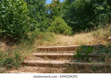 old steps in the city park in the summer season, overgrown with grass and shrubs - Powered by Shutterstock