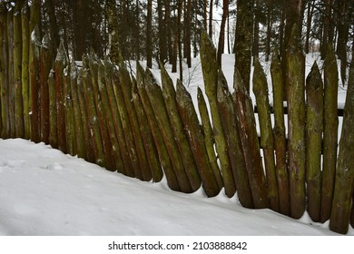 Old Stockade In The Winter Forest