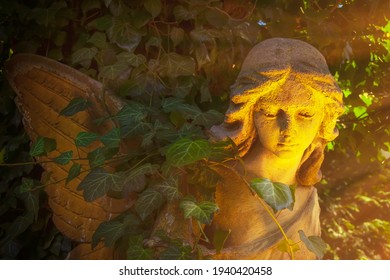 Old Stone Angel In The Sunlight (faith Concept)