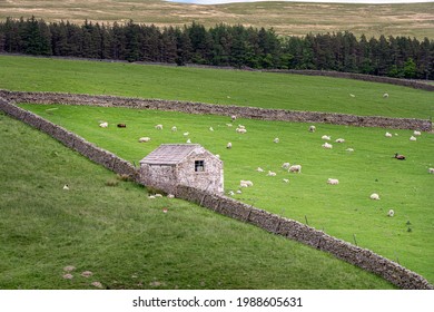 Old Stone Barn, Whitewashed In The North Pennines, England
