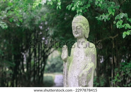 an old stone buddhist statue in a garden in an open area, in the style of zen-like tranquility, lensbaby effect, documentary travel photography, nature-based patterns