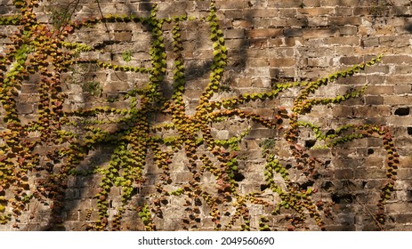 The Old Stone City Wall Landscape View Located In Nanjing City Of The China