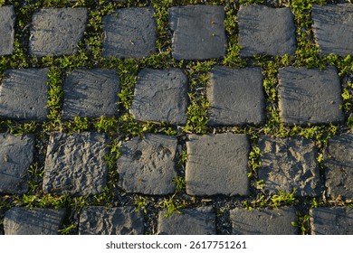 Old Stone Cobblestone Pavement with Green Grass Growing Between Stones

