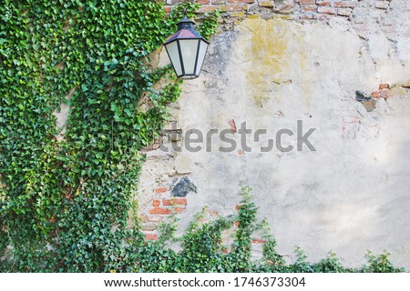 Old stone cracked wall with green ivy plant and lantern