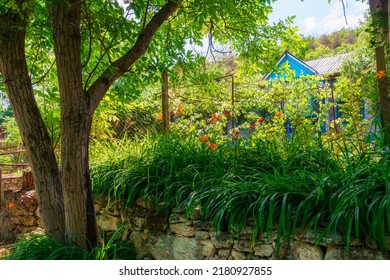 an old stone fence in a village, a country house with a vegetable garden, a forest on a hill and wild grass, beautiful summer landscape, a bright sunny day in summer - Powered by Shutterstock