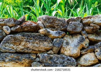 an old stone fence in the village, vegetable garden with corn on the background, a beautiful summer landscape, a bright sunny day - Powered by Shutterstock