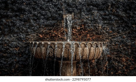 An old stone fountain with water cascading down against a dark, overgrown wall of dry vines. The image evokes a sense of history and quiet solitude, enhanced by its muted tones and rustic charm. - Powered by Shutterstock