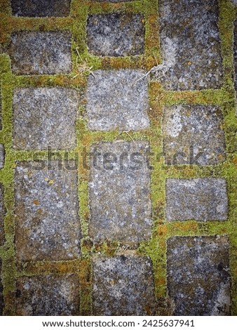 old stone with moss texture 