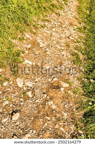 Similar – Image, Stock Photo Continue Trip Hiking Legs