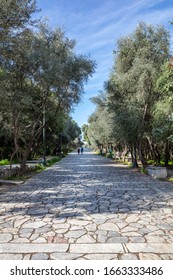 Old Stone Paved Footpath At Filopappou Hill In Athens, Greece. People Walk A Sunny Day A Cobblestone Pathway Under Ancient Acropolis. Trees Around, Vertical View.