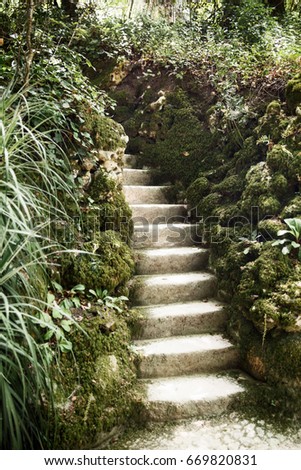 Similar – stairs with moss in the middle of a dark forest