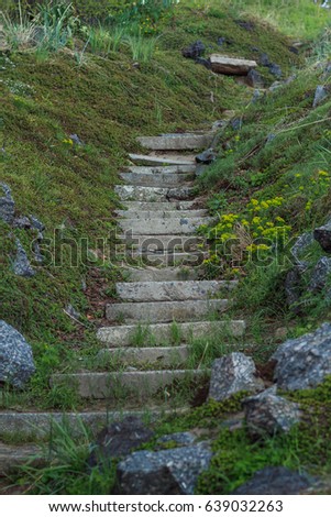 The old stone steps on a hill rising on either side grass. Stone stairs up a grass hill