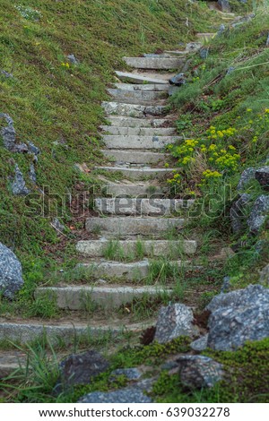 The old stone steps on a hill rising on either side grass. Stone stairs up a grass hill
